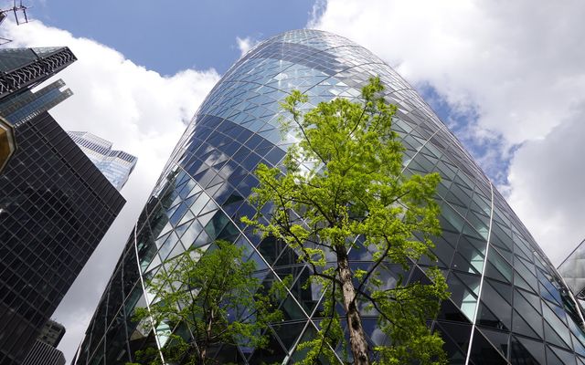 The Gherkin at 30 St Mary Axe, seen from below through the branches of a tree